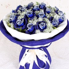 蓝色妖姬19朵蓝玫瑰花束鲜花